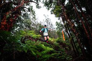 BIB: 
                            <button type="button" onclick="openModal(26205116)" class="btn btn-primary btn-sm float-right btn-popup" data-toggle="modal" data-target=".modal-high-quality">
                        <i class="fas fa-shopping-cart"></i> Add to Cart
                    </button>
                                            <button type="button" onclick="isThisMe(26205116, true)" class="btn btn-success btn-sm float-right btn-popup btn-isme hidden" data-toggle="tooltip" data-placement="bottom" title="นี่คือรูปของคุณใช่ไหม คลิกที่นี่เพื่อเอาเข้าอัลบั้ม">
                        <i class="fas fa-plus"></i> Add to album
                    </button>
                    <button type="button" onclick="isThisMe(26205116, false)" class="btn btn-warning btn-sm float-right btn-popup btn-isnotme hidden">
                        <i class="fas fa-ban"></i> Remove from album
                    </button>